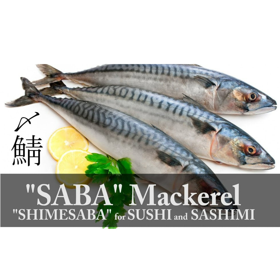 Premium Frozen Saba Mackerel Whole 1KG± – Norway (2pcs, 400–600G/fish)