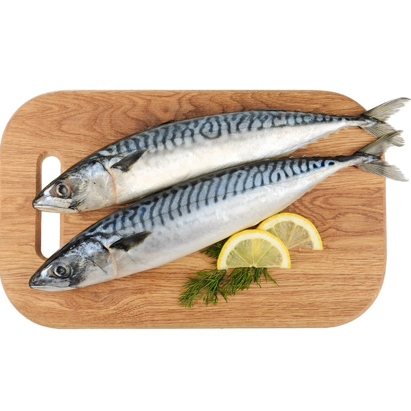 Premium Frozen Saba Mackerel Whole 1KG± – Norway (2pcs, 400–600G/fish)