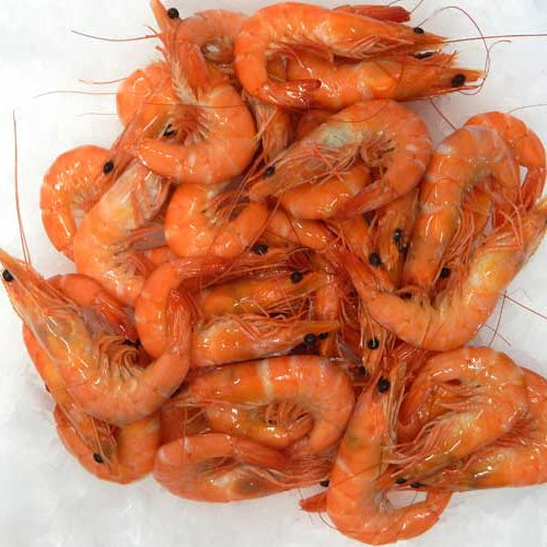 Premium Frozen Cooked Prawns Shrimps (700g±/pack)
