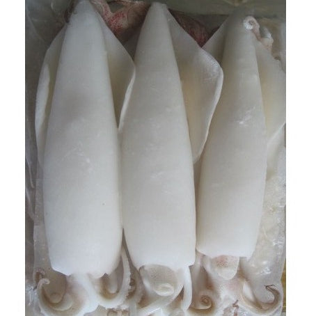 Freshly Frozen Cleaned Squid 2kg± | Sotong Siap Bersih (Size 4-6 / 6-8)