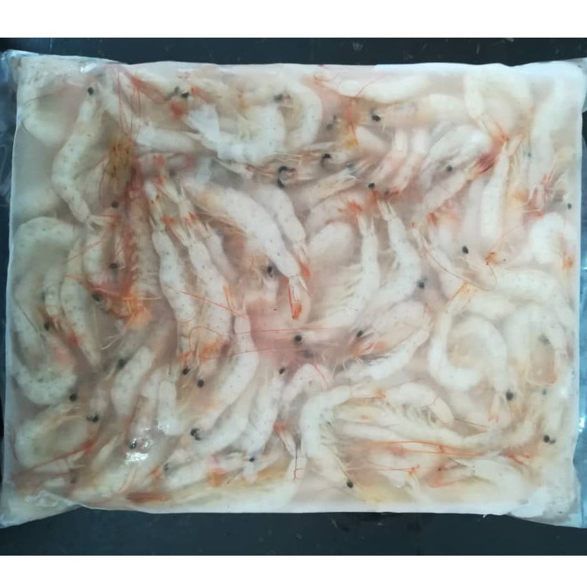 Premium Ko Ebi Thelly Shrimp 1kg | Frozen Small White Prawn