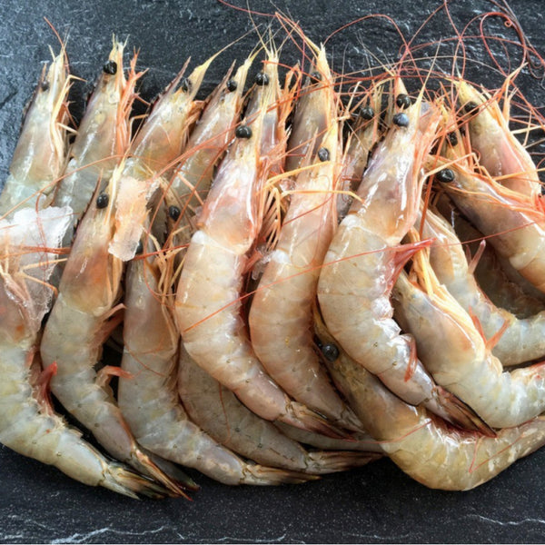 Udang Laut Tempatan AA – Ming Har Premium Segar Beku (1kg±)