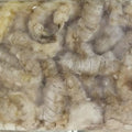 Premium Frozen Black Mantis Shrimp Meat Large (1kg)