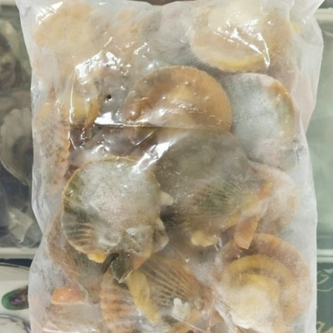 Premium Golden Half Shell Scallop Frozen 1Kg± (23pc±)