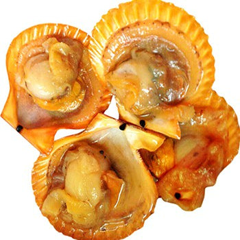 Premium Golden Half Shell Scallop Frozen 1Kg± (23pc±)