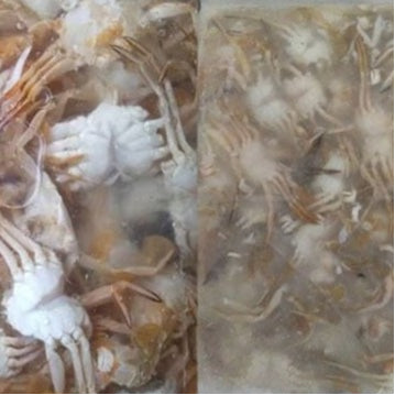 Premium Baby Crab Clean 1KG± Frozen
