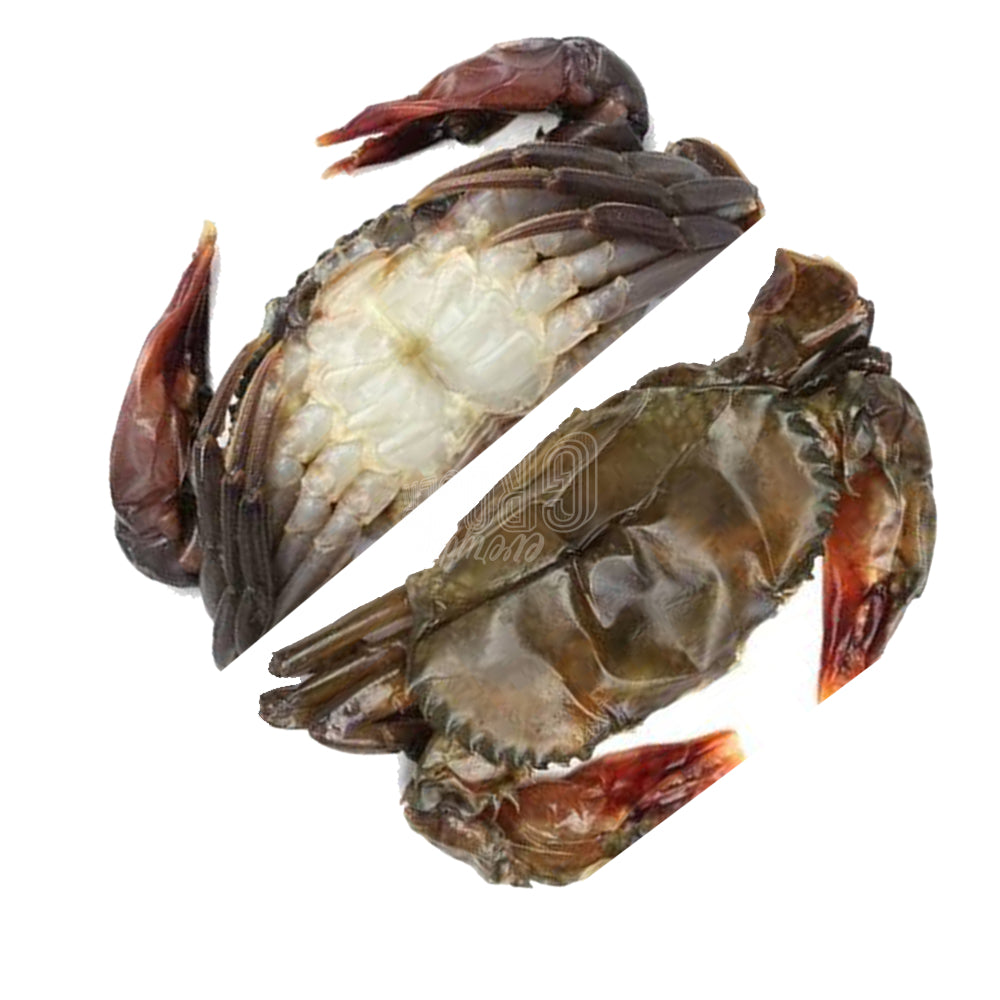 Premium Soft Shell Crab AAA 70/100 软壳蟹 | Halal Frozen | 1kg± (8-9pcs±) | Elite Brand