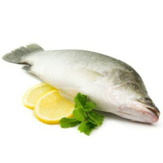 1Kg± Premium Whole Ikan Siakap Barramundi Sea Bass Fish (Cleaned) Frozen | Bersih