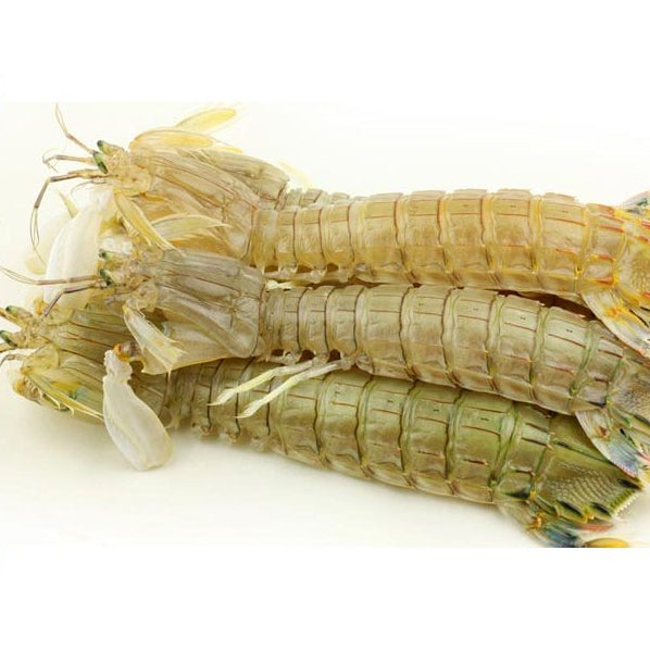 Premium Frozen Black Mantis Shrimp Meat Large (1kg)