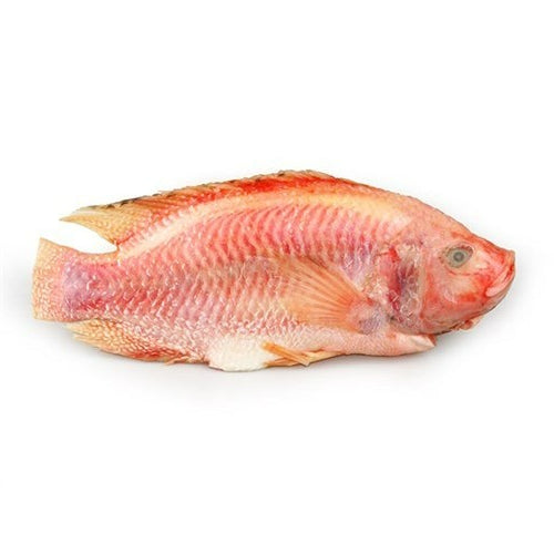 500-700g± Premium Thailand Red Tilapia Fish (Cleaned, Descaled & Gutted) Freshly Frozen Vacuum | 1kg Before Clean