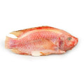 500-700g± Premium Thailand Red Tilapia Fish (Cleaned, Descaled & Gutted) Freshly Frozen Vacuum | 1kg Before Clean