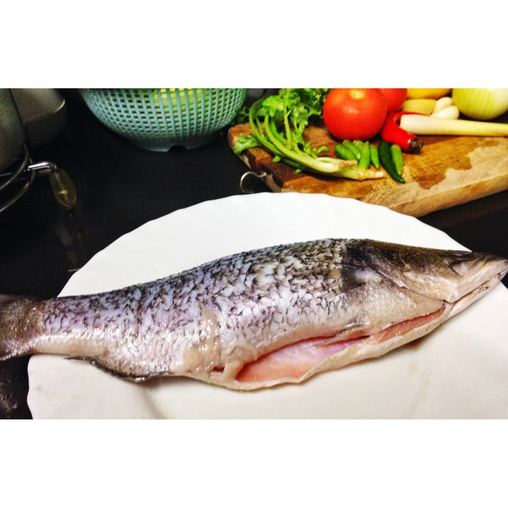 1Kg± Premium Whole Ikan Siakap Barramundi Sea Bass Fish (Cleaned) Frozen | Bersih