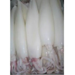 Freshly Frozen Cleaned Squid 2kg± | Sotong Siap Bersih (Size 4-6 / 6-8)