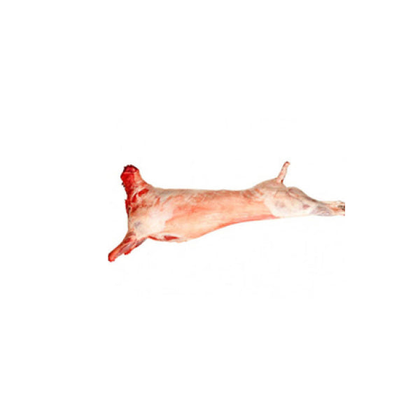 14-25Kg New Zealand Australia Premium Whole Lamb / Mutton Carcass Halal Kambing Gulung Seekor Imported Frozen