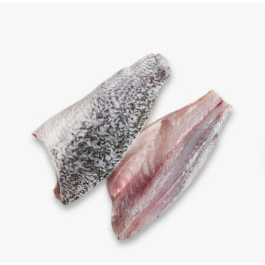 500g± Premium Ikan Siakap Barramundi Sea Bass Fish Fillet (1pc) Frozen