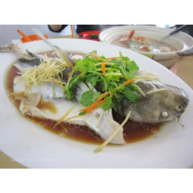 Premium Frozen Ikan Patin Potong 1Kg± | Whole or Steak Cut | Cleaned & Gutted