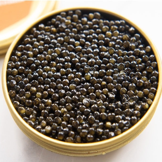 Premium Russian Tzar Caviar Black Caviar 30g± | GOLD Sturgeon Fish Roe