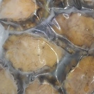 Premium Korean Half Shell Green Abalone Frozen Wild Caught L Size 3inch± (24pc±)
