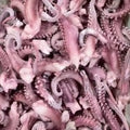 Premium Raw Squid Tentacles 1kg | Frozen Fresh Sotong Tentacles